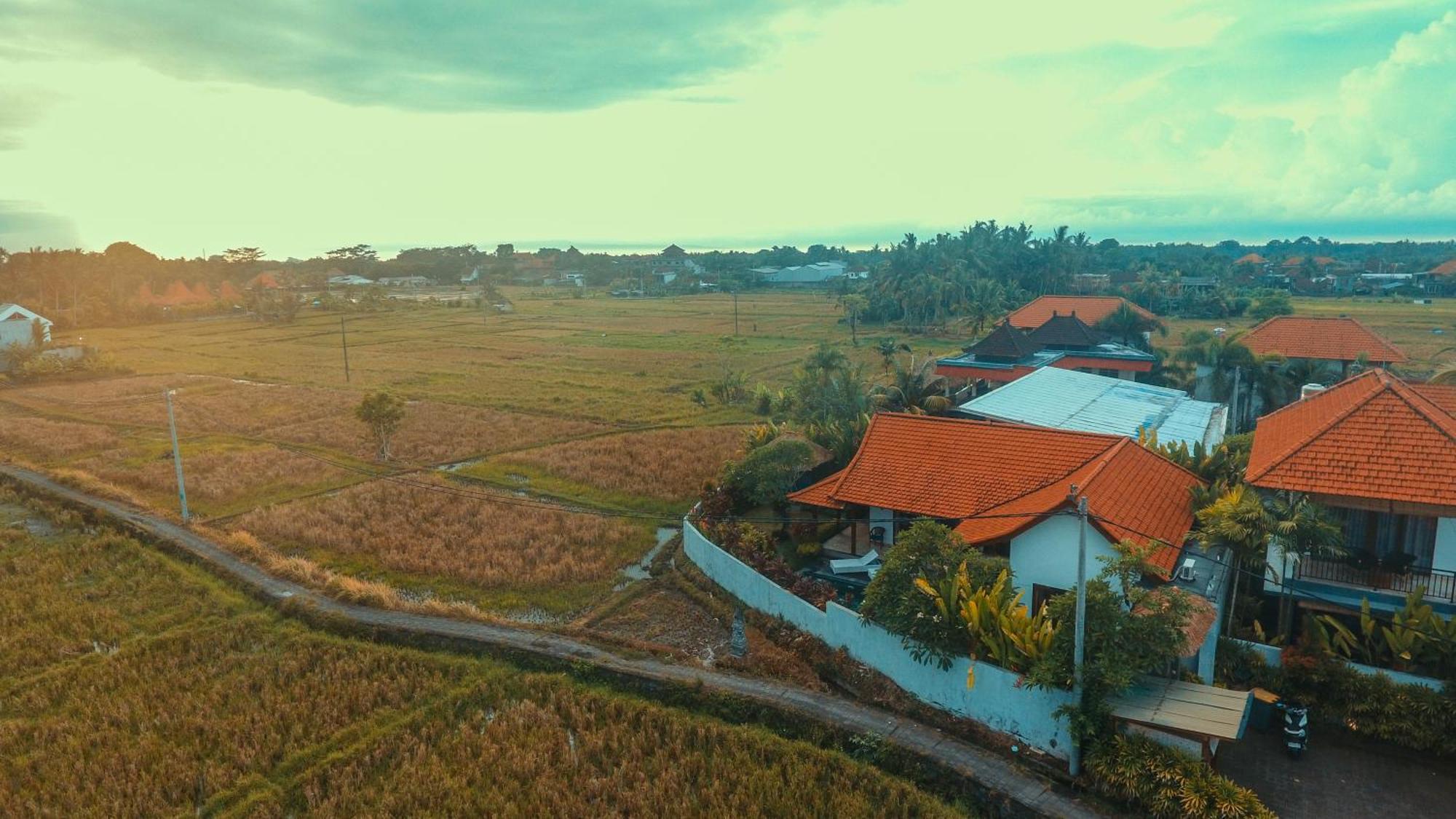 Villa Maya Ubud, Peaceful Rice Field View Экстерьер фото