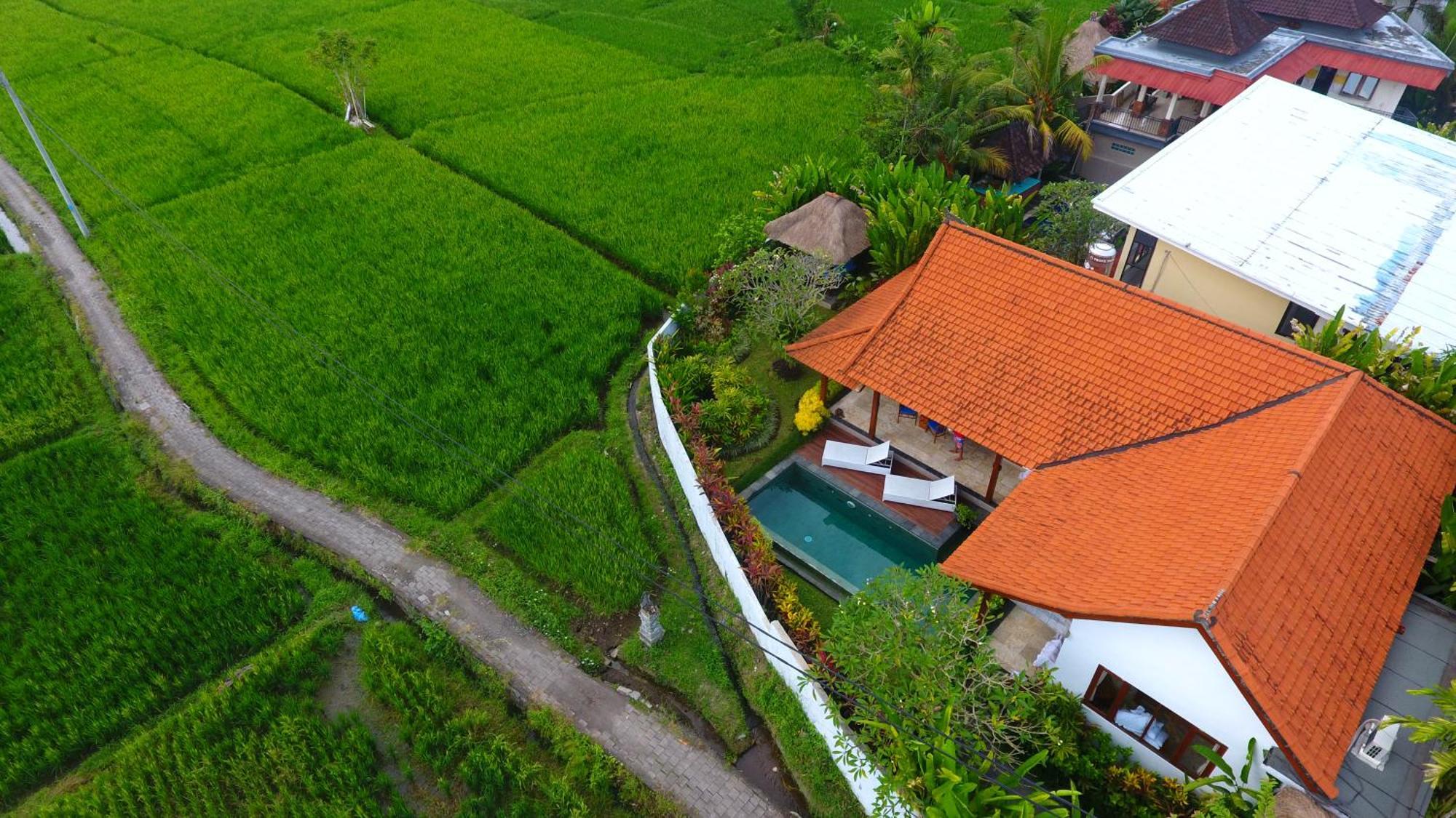 Villa Maya Ubud, Peaceful Rice Field View Экстерьер фото
